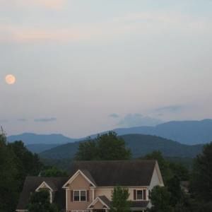 Meet your Posher, Joyce